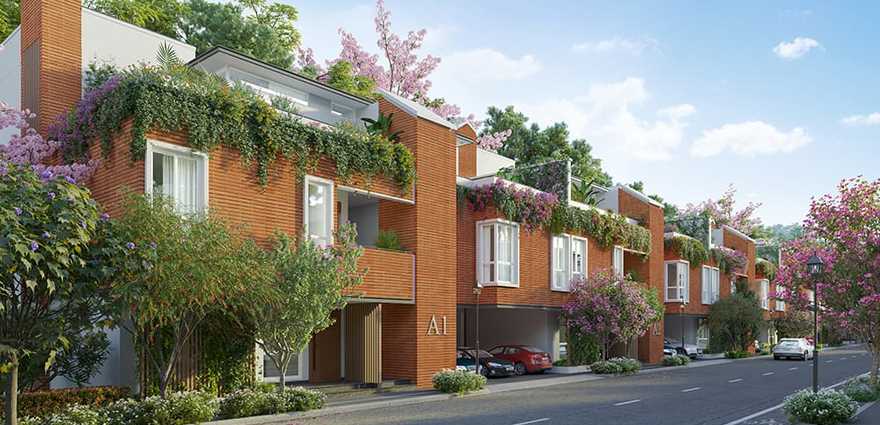 To Give Premium Touch